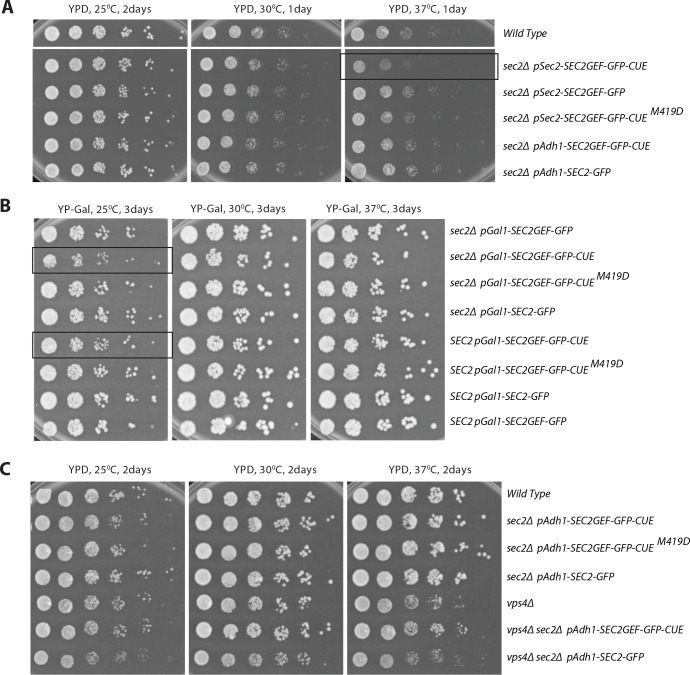 Figure 4.