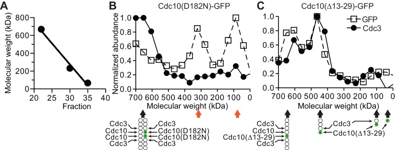 FIGURE 5: