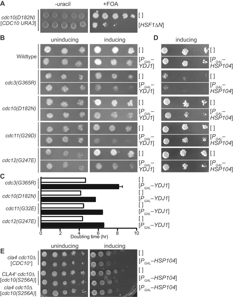 FIGURE 6: