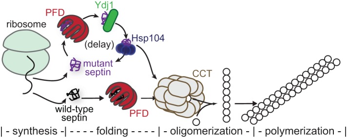 FIGURE 10: