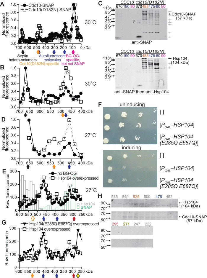 FIGURE 9: