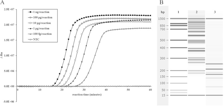 FIG 1