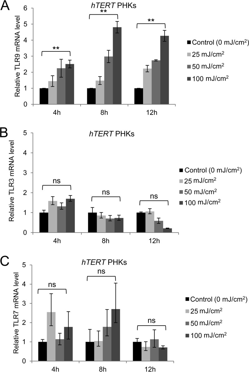 FIG 2