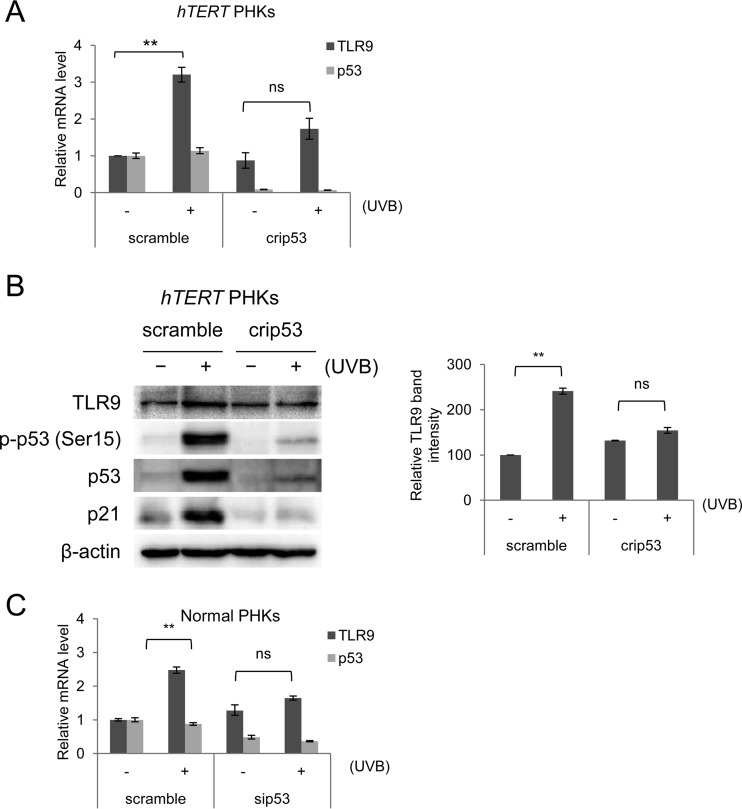 FIG 3