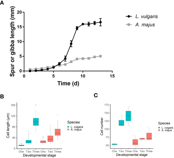 Figure 2