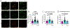 Fig 8: