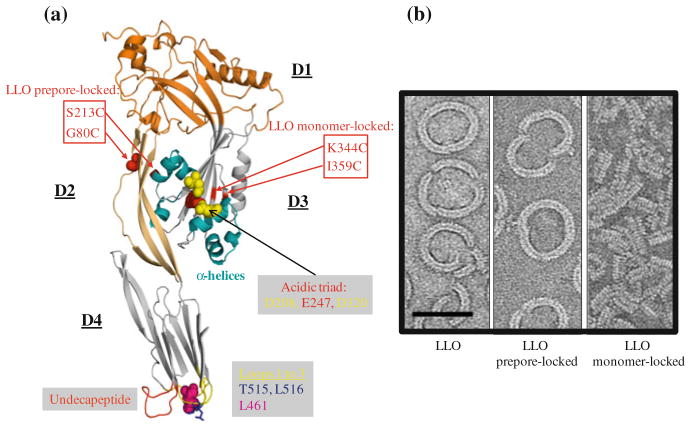 Fig. 9.2