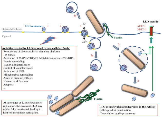 Fig. 9.3