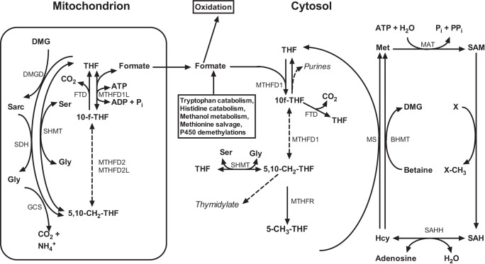 FIGURE 1.