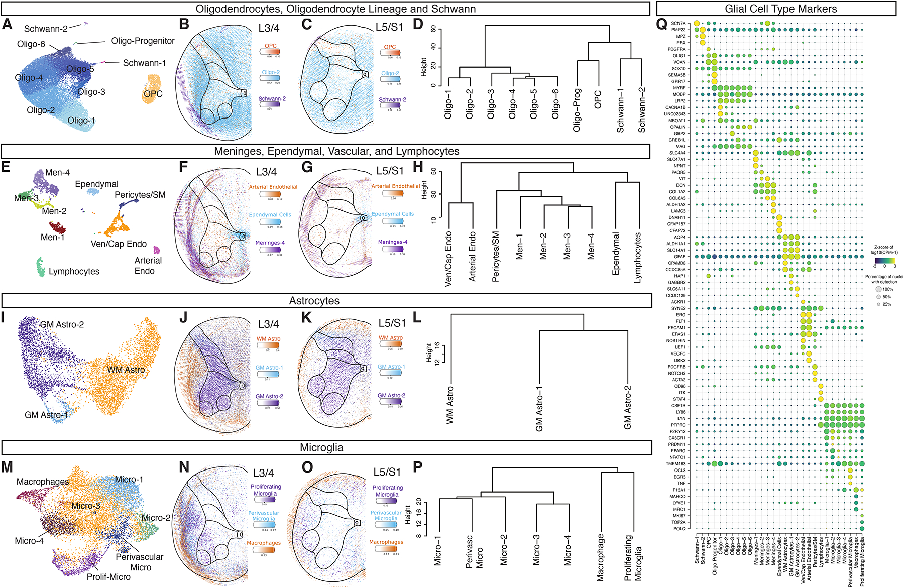 Fig. 2: