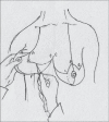 Diagram 17