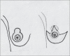 Diagram 6