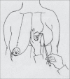 Diagram 31