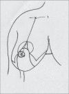 Diagram 34