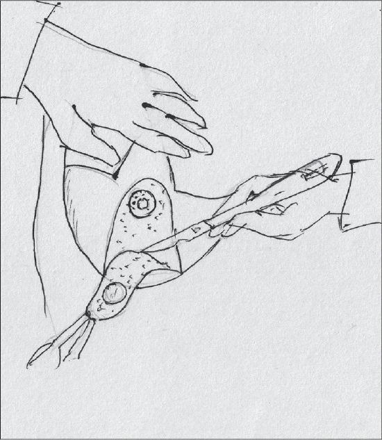 Diagram 19