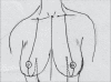 Diagram 9