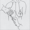 Diagram 16