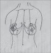 Diagram 8
