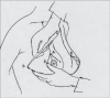 Diagram 15