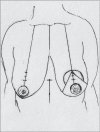 Diagram 29