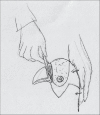 Diagram 20