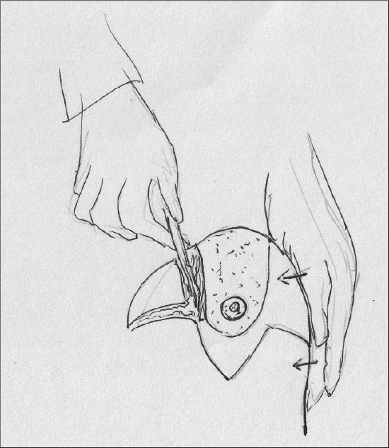Diagram 20