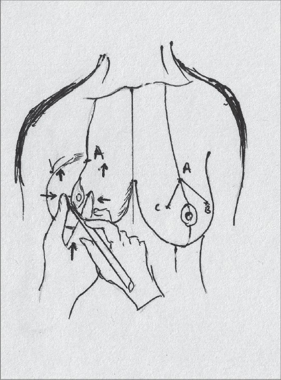 Diagram 12