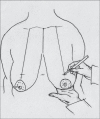Diagram 28
