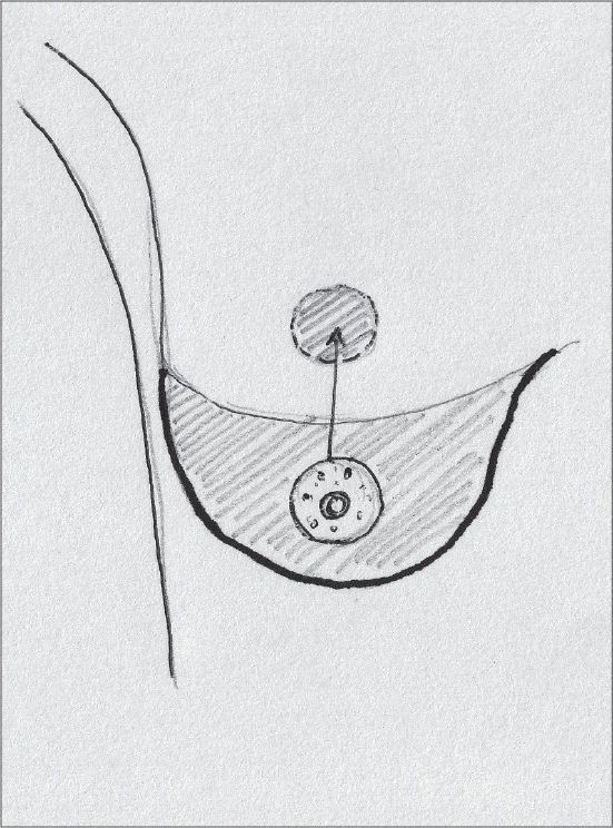 Diagram 7