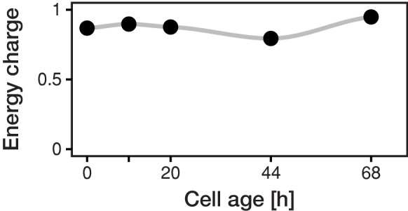 Figure 2—figure supplement 5.