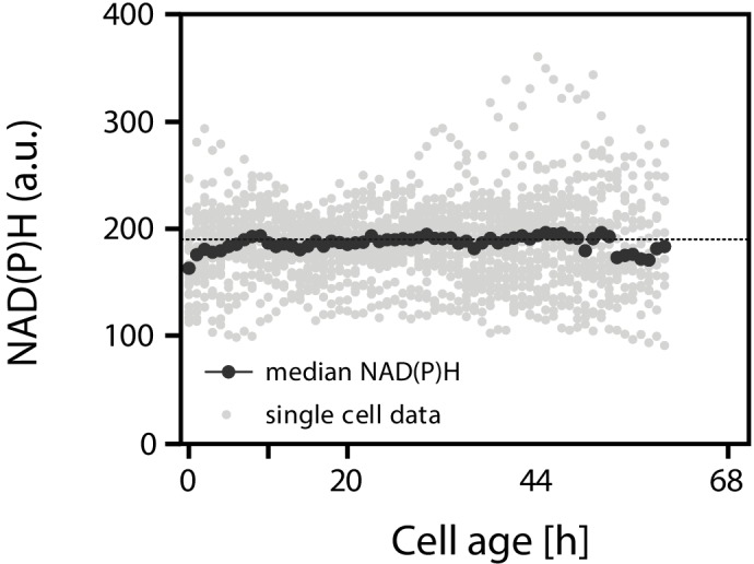 Figure 4—figure supplement 1.