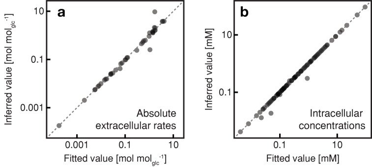 Figure 3—figure supplement 1.