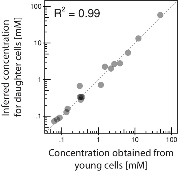 Figure 2—figure supplement 3.