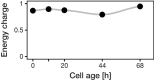 Figure 2—figure supplement 5.