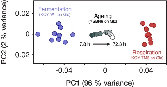 Figure 2—figure supplement 11.