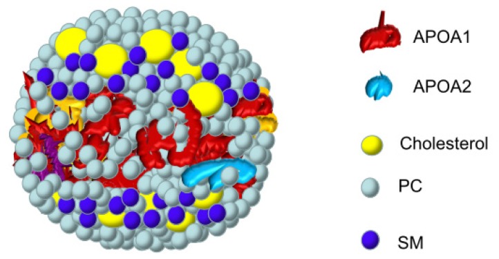 Figure 3