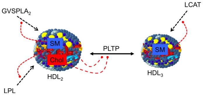 Figure 5