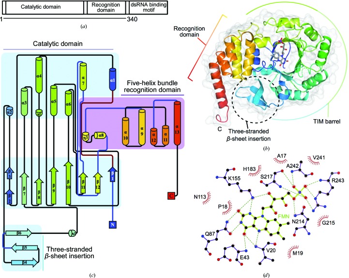 Figure 2