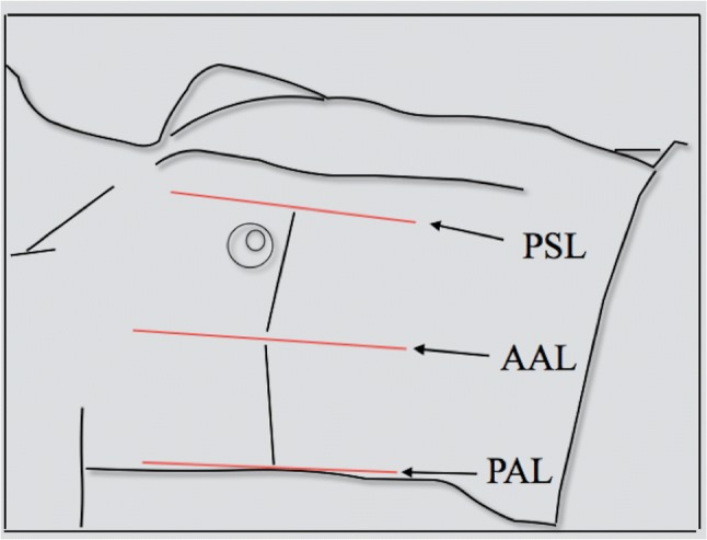 Fig. 1