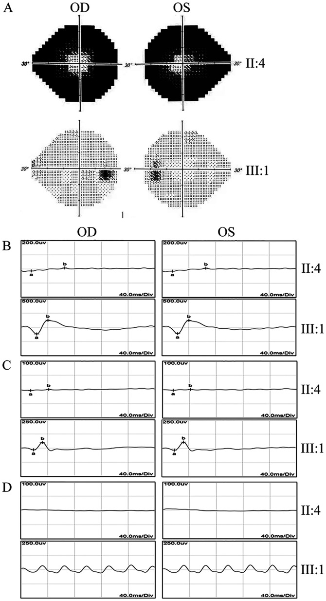 Figure 3.