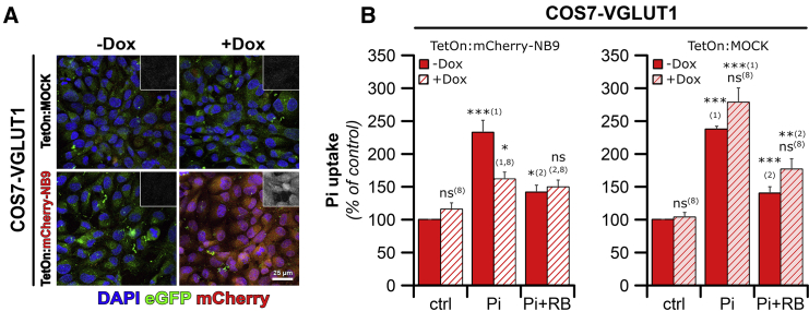 Figure 4