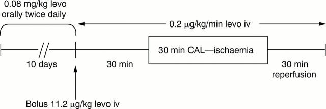 Figure 2  