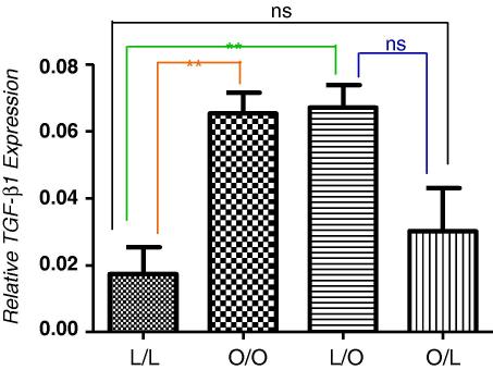 Fig. 3A