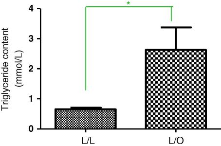 Fig. 2B