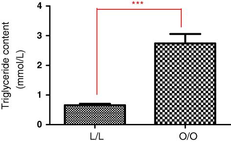 Fig. 2A