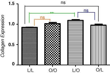 Fig. 3B