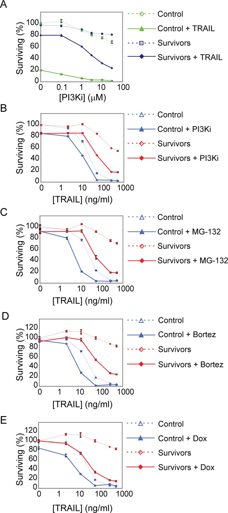 FIGURE 6: