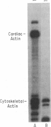 1901