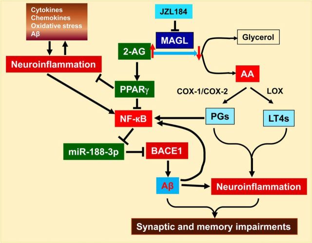 Figure 11.