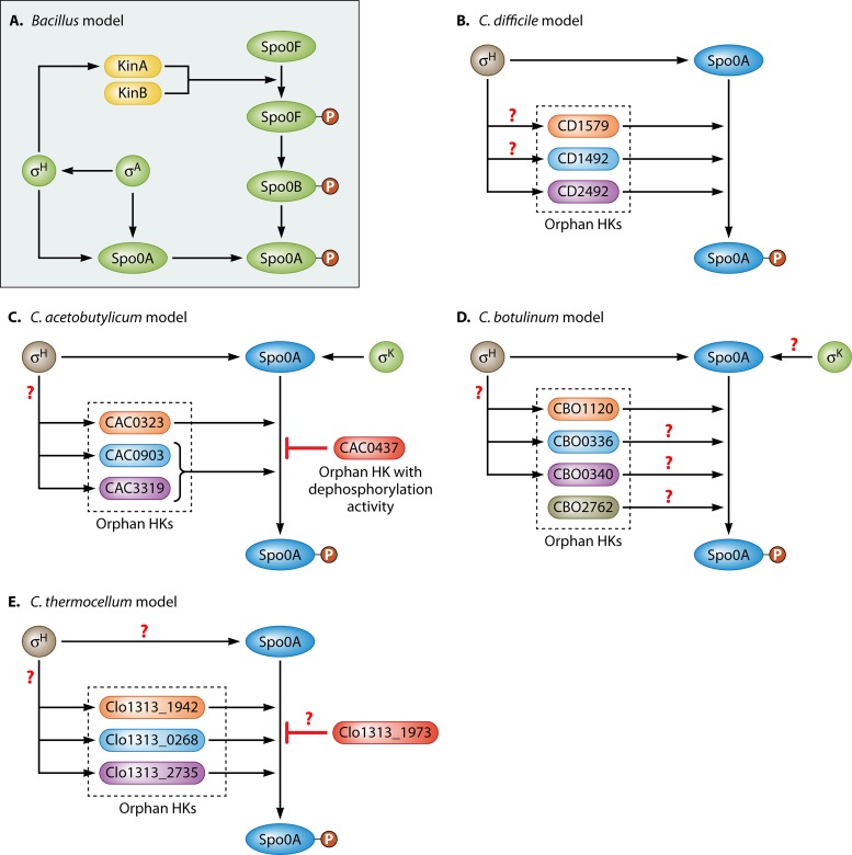 FIG 2